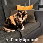 Penthouse In Lejlighed