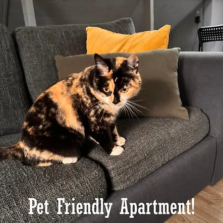 Penthouse In Apartman