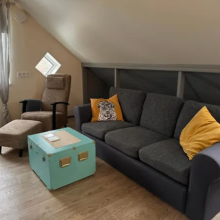 Penthouse In *